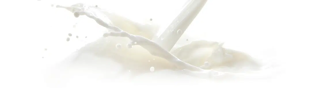 savoir faire lait villars - Traditional know-how