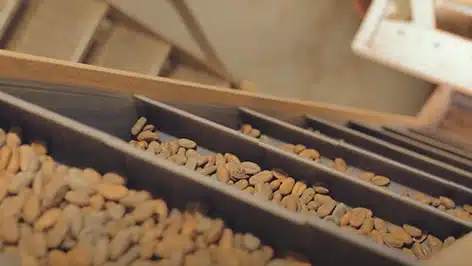concassage villars - Chocolate production
